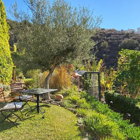 Villa Stunning With Heated Infinity Pool