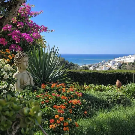 Stunning With Sea View And Pool Villa